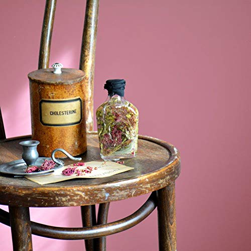 Amazon.co.jp: ペンキ 水性塗料 ボタニカラーズ 0.5L オフ