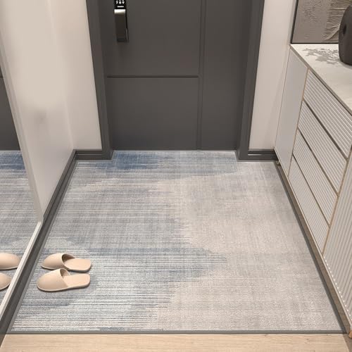 ���փ}�b�g ���O�p �h�A �D���Ƃ� �G���g�����X�}�b�g ������� �􂦂� ����Ȃ� 100*160 �ϖ��� �h�o �V���v�� �ʋC�� �J���[6 ���ی� �I�t�B�X�p