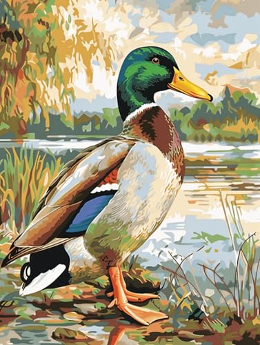 io[yCg A[gpl 50x40cm t[t l S ȒP DIY ANG̋ Zbg CeA G   XgX  蕨 a v[gAԍhGʉAIVh