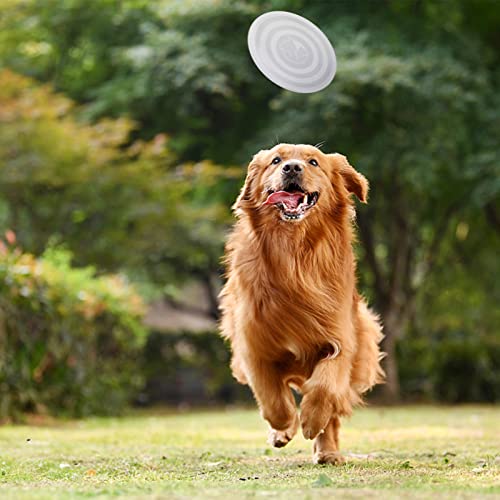 2 Stück Faltbare Reisenäpfe,Haustier Hundenapf mit Deckel und Haken Tragbare Silikon Trinkschale für Katzen,Hunde Reise Wanderungen and Camping (Blau und Rosa, groß)