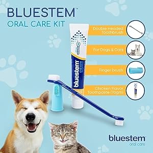   Bluestem-Dog-Cat-Toothbrush-and-Toothpaste-Kit-Dog-and-Cat-Toothpaste-with-Coactiv-Technology-to-Reduce-Tartar-Buildup-Sticky-and-Long-Lasting-Cat-and-Dog-Toothpaste-Chicken-Flavor