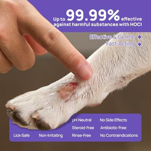 HICC PET Dog Wound Care Hydro Gel, Hot Spot Treatment for Dogs, Soothes Inflammation, Prevents Infection, Treats Bites & Scratches, Cat Wound Care Solution, Small Animal Health Supplies, 100ml — view 2