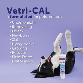 High Calorie Nutritional Gel for Dogs, Cats, Puppies & Kittens Appetite Booster with Omega 3-6-9, Vitamins A-D-E-B Recovery & Energy Support Tasty Malt Flavor 5 oz Tube