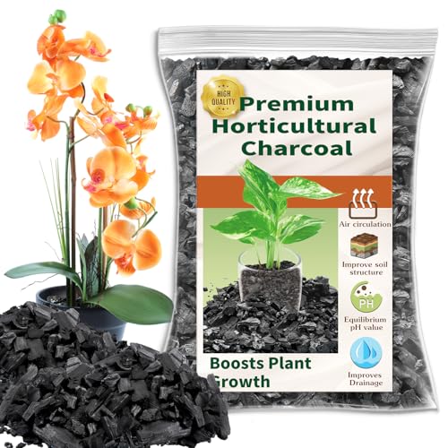 Horticultural Charcoal for Plants,1QT Premium Activated Charcoal for Indoor and Outdoor Plants,Ideal for Soil Amendment, Orchids,Succulent,Cactus, Terrariums & Gardening