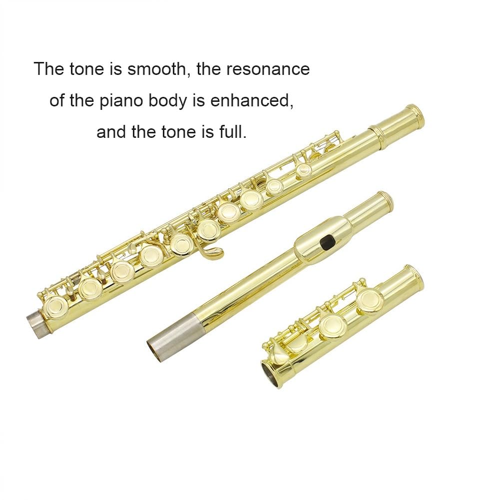 Flûte à clé C à 16 trous, flûte de Concert plaquée argent avec clé E, Instrument à vent avec boîte, chiffon de nettoyage, gants de bâton