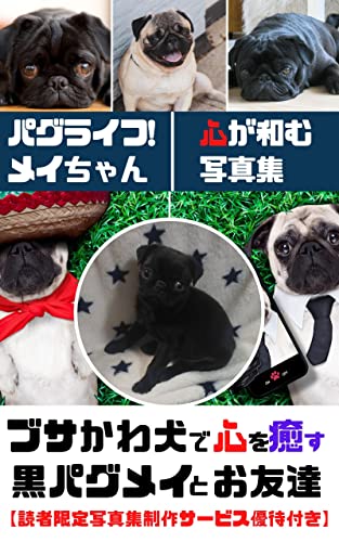 パグライフ!メイちゃん: ブサかわ犬で心を癒す 黒パグメイとお友達【写真集】【動物】【ブサかわ】【Pug】