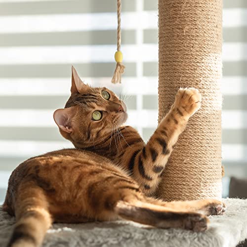 Natural Sisal Rope Heavy Duty Twine For Cat Scratching Post,Cat Scratcher Replacement,Cat Tree,Scratching Pad,Diy,Crafts,Gardening,Hammock,Home Decorating(164Ft) #TOP2