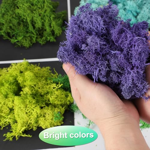 uxcell Preserved Reindeer Moss, 17.6oz Fake Moss for Crafts Artificial Dried Moss for Decoration Terrariums Potted Plants, Chartreuse by uxcell - Image 4