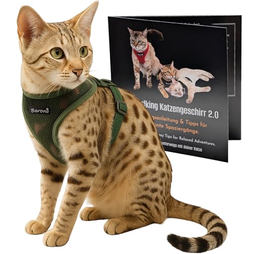 Katzengeschirr Easy Walking Katzengeschirr 2.0 ausbruchsicher, verstellbar, für Katzenleine draußenâ€¦ – Miniatur