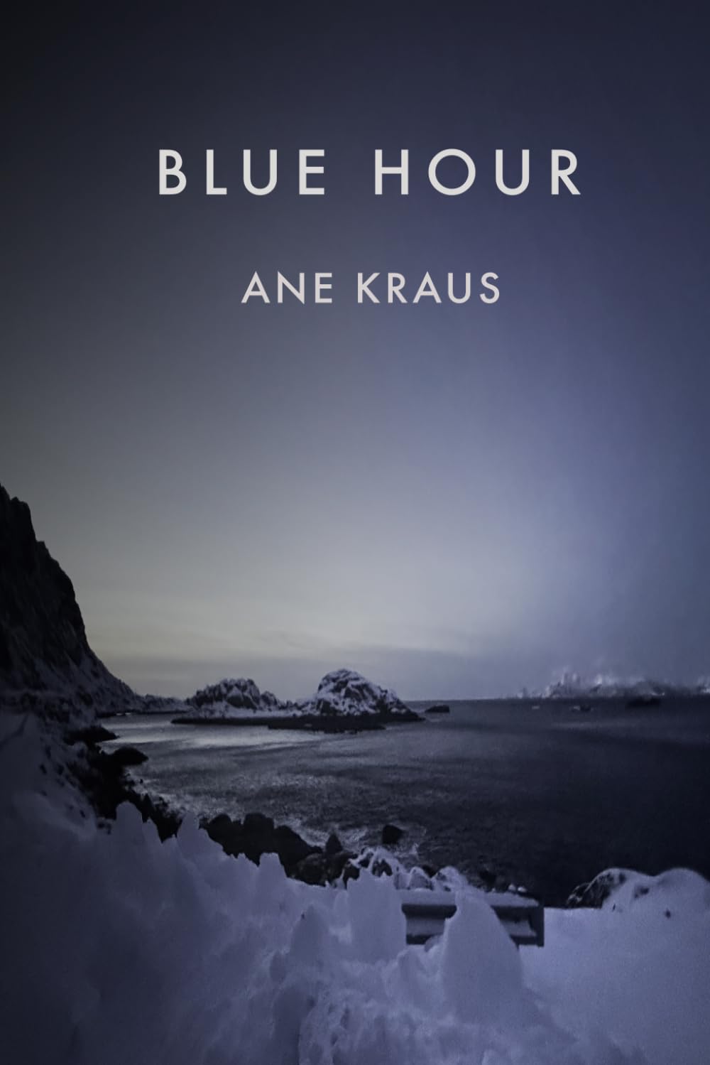 BLUE HOUR: A Psychological Nordic Thriller (The Vestfjord Echoes)
