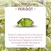 Gempires Natural Raw Green Peridot Prong Setting Stud Earrings August Birthstone Gemstone Crystals Earring Handmade Trendy Fashion Jewelry Gifts
