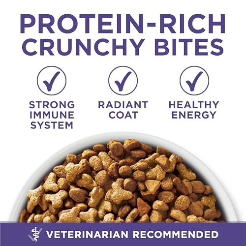 Purina ONE Natural Cat Food for Hairball Control, +PLUS Hairball Formula - 16 lb. Bag