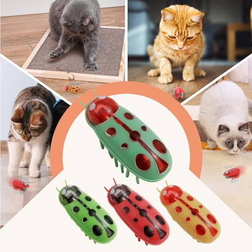 4 Stück Mini Käfer, Elektrische Insekten, Käfer, Kakerlaken, Marienkäfer, Mäuse, ladybug, Maulwürfe, Elektrisches Haustier Marienkäfer Spielzeug für Katzen und Hunde, Insekten Spiel für Kinder