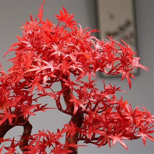 Bonsái artificial de arce rojo con maceta ideal para paisajismo duradero sin riego 4