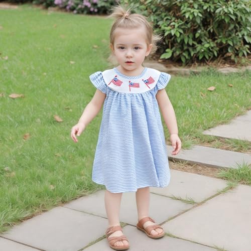 Socutebabe 4th of July Baby Girl Outfits Fourth of July American Flag Embroidered Dress Toddler Little Girls Smocked Outfit (Plaid Sky Blue, 2-3 Years)