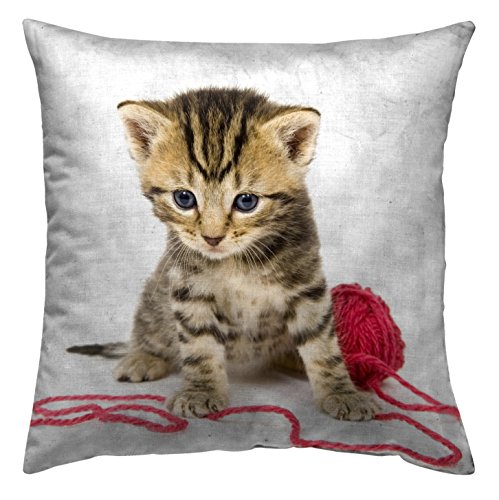 Zebra Textil Bed, Stoff, Bunt