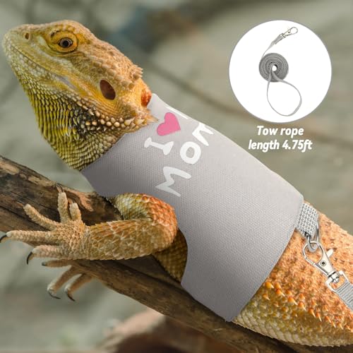 Image of PETKNOWS 2 Pack Bearded Dragon Harness and Leash Set, Escape Proof Adjustable Lizard Reptiles Harness Cute Lizard Reptile Small Animal Harness Clothes with 5FT Leash for Walking Outdoor