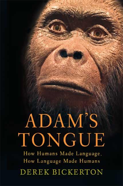 Buy Adam's Tongue: How Humans Made Language, How Language Made Humans — BookShops.in