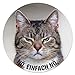 Produktbild Mauspad mit Katzen-Motiv und Spruch I Ø 22 cm rund I Mousepad in Standard-Größe, rutschfest I lustig frech I Nö. Einfach nö. I dv465