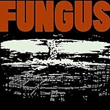 climacool 1 sizing  Climacool