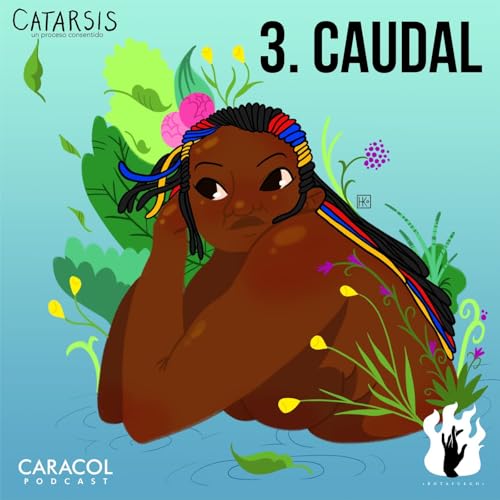 3. Caudal