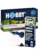 Hobby