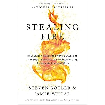 Stealing Fire: How Silicon Valley, the Navy SEALs, and Maverick Scientists Are Revolutionizing the Way We Live and Work