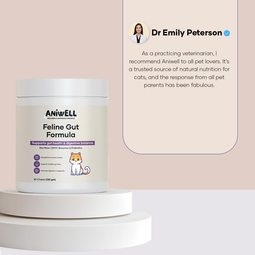 Feline Gut Formula – Probiotics & Digestive Support for Cats | with DE111®, Sea Moss, & Organic Pumpkin | Promotes Gut Balance & Immune Health (3)