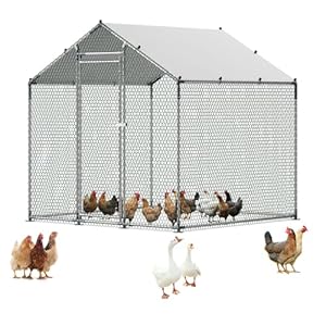 VEVOR Metal Chicken Coop, 6.56×6.56×6.56ft Walk in Chicken Runs with Cover, Spire Roof Hen House Enclosure with Security Lock, Outdoor Duck Rabbit Cage Poultry Pens for Backyard, Farm, Yard