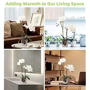 CXGS Artificial Orchid Flower Plant Real Touch Faux Orchids in Ceramic Vase White 19.7'' Fake Phalaenopsis Flower Arrangement Centerpiece Home Indoor Decor CXGS Artificial Orchid Flower Plant Real Touch Faux Orchids in Ceramic Vase White 197 Fake Phalaenopsis Flower Arrangement Centerpiece Home Indoor Decor