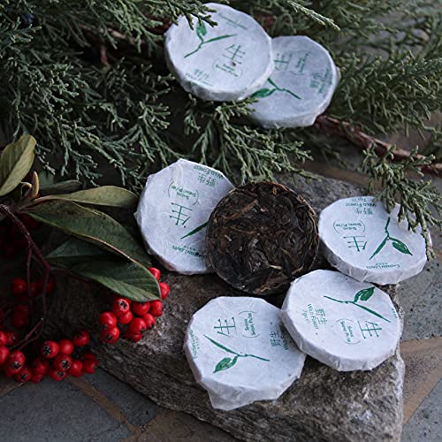 Tea Soul Tee Puer Sheng (roh) Wild Forest Mini Portionen, Ernte 2019, Hochwertiges Chinesisch, 50 Gramm