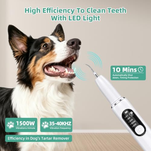 Kit de limpieza de dientes recargable UJW con 5 modos ajustables para perros 2