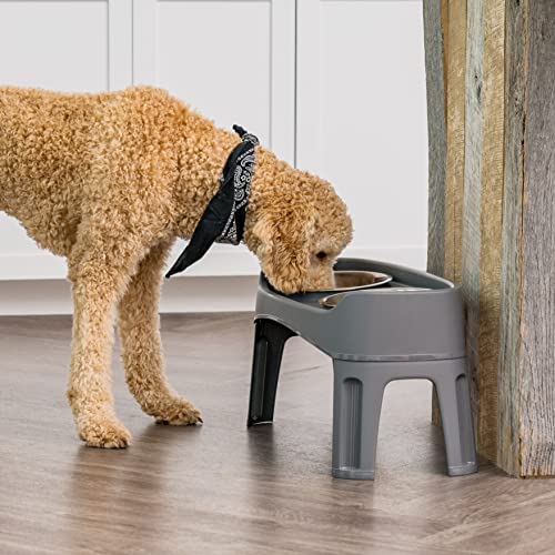 Iris 589180 Usa Elevated Dog Bowls, Adjustable Height, 2 Thick 64 Oz Stainless Steel Bowls, Spill-Proof With Raised Outer Rim thumb #7