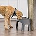 IRIS USA Elevated Dog Bowls Adjustable Stand, Raised Feeding Station with 2 Stainless Steel 64 oz Bowls, Spill Guard, Dual Height 12.25