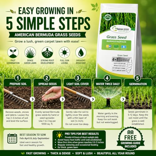 Image of American Bermuda Lawn Grass Seeds for Lawn, Turf, Cricket Ground, Stadium, Park, Farmhouse, Sports Field, Garden Grass, Fast Growing, Gardening Seeds | Free Growing Guide | (1 Kg Bermuda Grass Seeds)