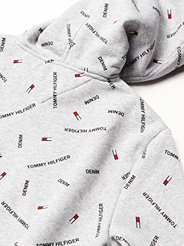 Image of Tommy Hilfiger Men's THD Hoodie Sweatshirt