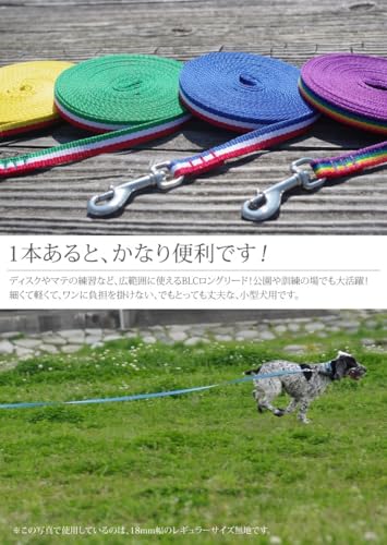 ビーエルシーTheBlackLabCompany『小型犬用ロングリード』