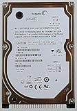 0 Seagate ST980210A