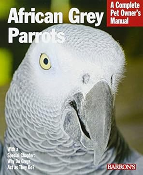 best parrots for pets that will surprise you with their charm 1 best parrots for pets