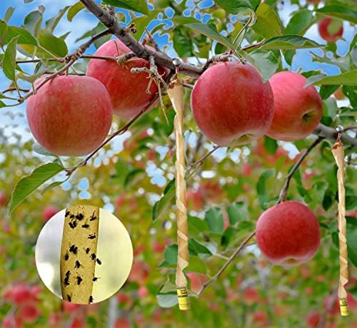 16 Pack Fly Paper, Sticky Fly Catchers Set for Indoor or Greenhouse use