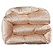 Produktbild JIAJULL Gans Daunendecke, 150 * 200CM 2kg, Tröster, Wärme for die ganze Saison, 100% Daunen Silk Shell