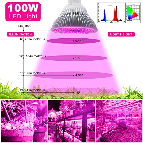 2 Pack Led Grow Light Bulb,Full Spectrum Plant Light Bulb,100W Led Grow Light Bulb With 4 Dimmable Levels Timing Function, Grow Light For Indoor Plants, Flowers, Greenhouse, Indore Garden, Hydroponic #TOP5