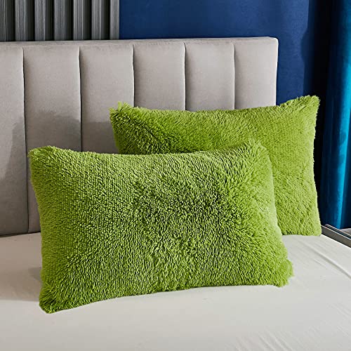 Yaoshuho Plush Fluffy Duvet Cover Queen Size Luxury Ultra Soft Shaggy Duvet Cover Set Faux Fur Comforter Bedding Set(1 Duvet Cover + 2 Pillow Shams), Green #TOP2
