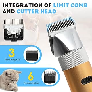 CGOLDENWALL Tosatrice Professionale per Cani Gatti 400W Batteria Ricaricabile con Testa di Taglio Rimovibile da 3mm+6mm & Limite Pettine 5 Ore di Durata Basso Rumore Meno di 50db per Pecore Conigli