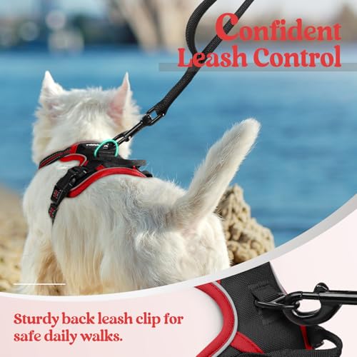 Image of rabbitgoo Dog Harness No Pull with 2 Leash Clips, Adjustable Soft Padded, Reflective Oxford No Choke Pet Vest with Easy Control Handle for Puppy, Black & Red, XS