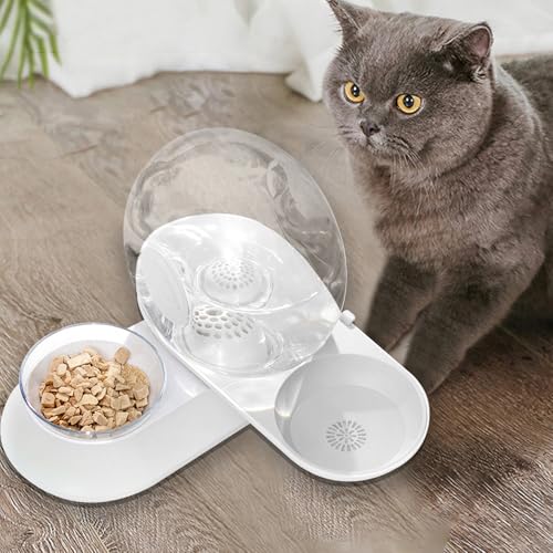 Fontaine pour chat en escargot : le distributeur d'eau idéal pour vos absences - 4