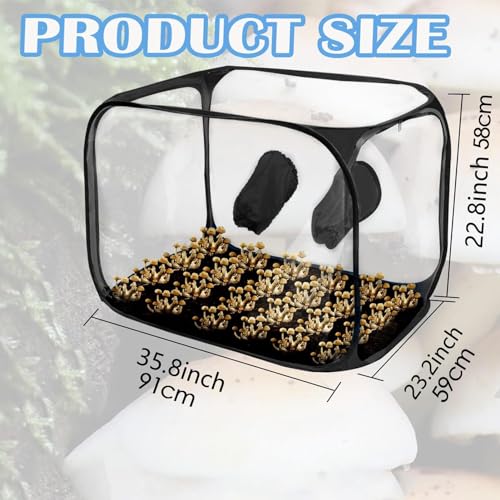 Stations de propagation pour champignons à croissance rapide et contenant pliable