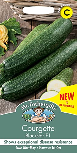 Mr Fothergill's -COURGETTE Blackstar F1, Black