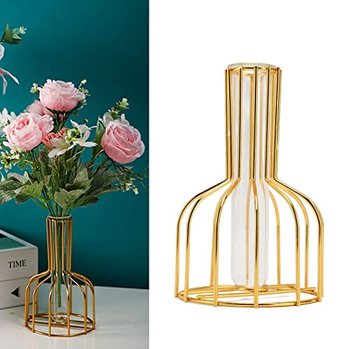 RWUDV Terrário de planta de mesa moderno tubo de teste de vidro dourado com moldura geométrica de me