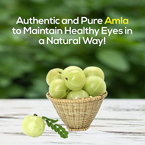 Image of Ayurvedic Life Amla Powder | for Hair, Skin & Immunity Support - 200 Gm